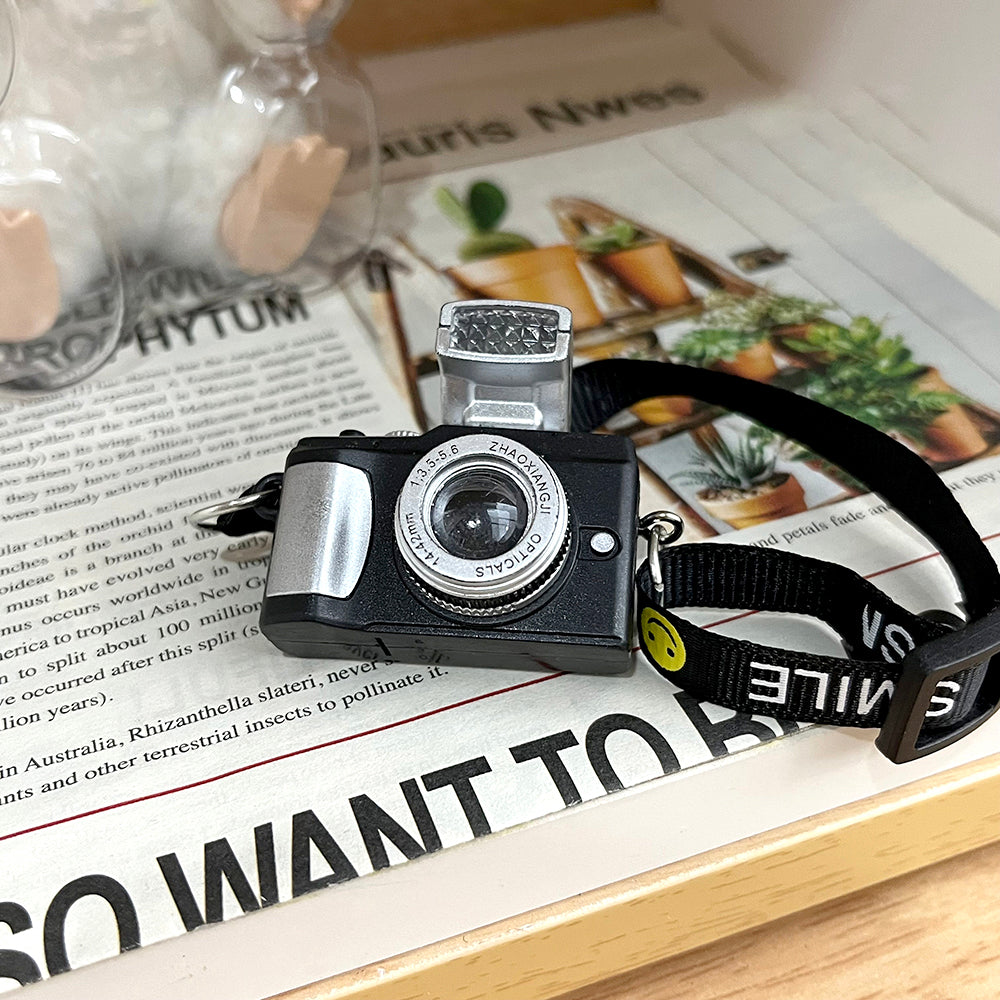 Camera with flash for 17cm Labboo